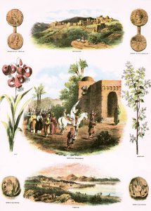 Biblische Illustrationen von English School