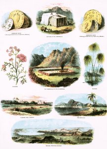 Biblische Illustrationen von English School