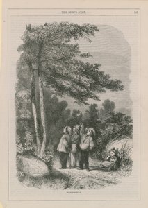Vogelnestern von English School