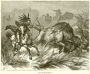 Bisonjagd von English School