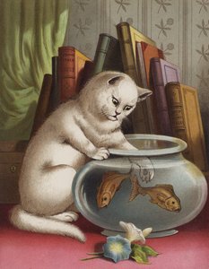 Blanchie und der Goldfisch von English School