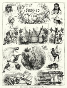 Borneo und die Gewürzinseln von English School