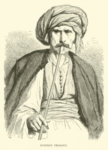 Bosnischer Bauer von English School
