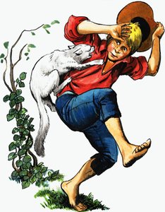 Junge von Katze angegriffen von English School