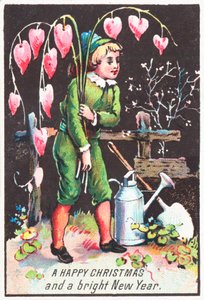 Junge trägt Tränendes Herz Blumen, Weihnachtskarte von English School