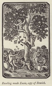 Jungen pflücken Äpfel (Stich) von English School