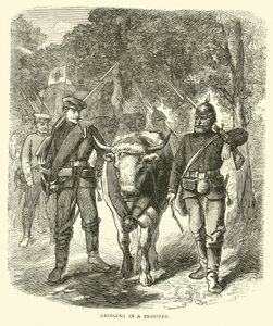 Einen Gefangenen hereinbringen, September 1870 von English School