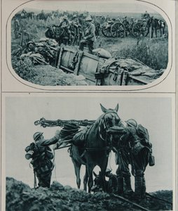 Britische Kanoniere mit Packpferden, Flandern, August 1917