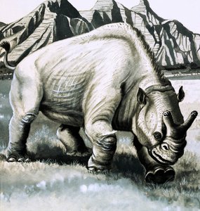 Brontotherium aus dem Oligozän von English School