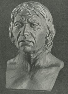 Büste eines Cro-Magnon-Menschen von English School