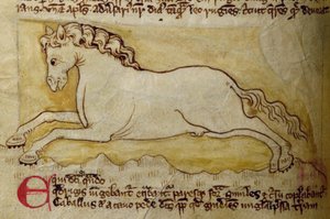 Pferd, aus Bestiarium