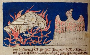 CCA-LitMs/D/10 fol. 17v Phönix, aus Bestiarium