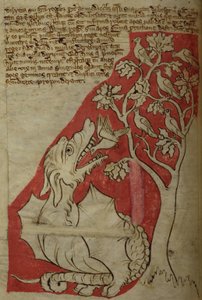 Der Perindens-Baum, aus Bestiarium von English School