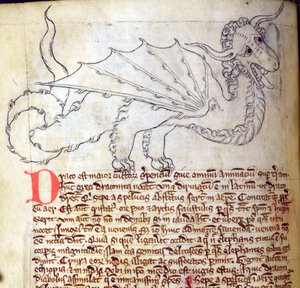 CCA-LitMs/D/10 fol. 24v Drache, aus Bestiarium