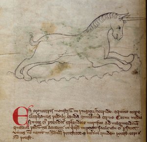 Monoceros, aus Bestiarium