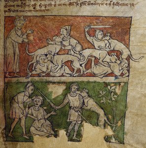 CCA-LitMs/D/10 fol. 6r Hund, aus Bestiarium von English School