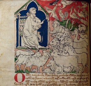 CCA-LitMs/D/10 fol. 7v Adam, aus Bestiarium