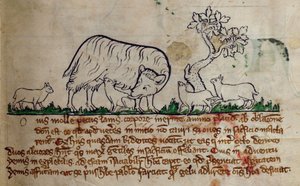 CCA-LitMs/D/10 fol. 8r Schaf, aus Bestiarium von English School