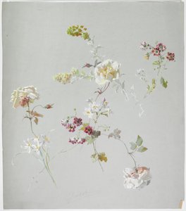 Teppichdesign
