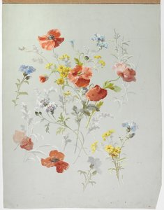 Teppichdesign