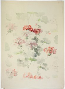 Teppichdesign