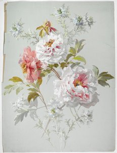 Teppichdesign