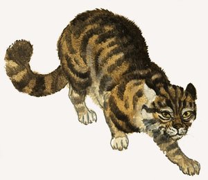 Katze