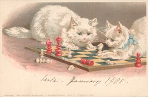 Katzen spielen Schach von English School