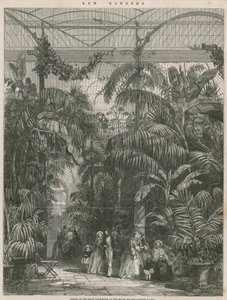 Zentrum des Großen Palmenhauses in den Königlichen Botanischen Gärten von Kew von English School