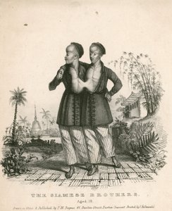Chang und Eng, die siamesischen Jugendlichen, 18 Jahre alt von English School
