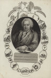 Charles Bonnet von English School