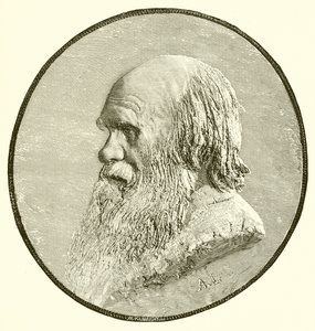 Charles Darwin von English School