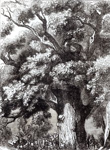 Karl II. (1630-85) versteckt sich im Eichenbaum, 14. Oktober 1651