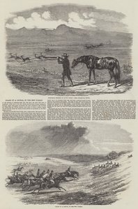 Jagd auf einen Schakal im New Forest (Stich) von English School