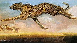 Gepard