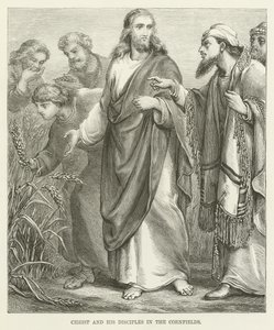 Christus und seine Jünger in den Kornfeldern von English School