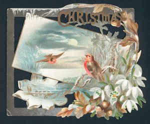 Weihnachtskarte mit zwei Rotkehlchen von English School