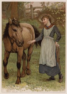 Clever Dobbin von English School
