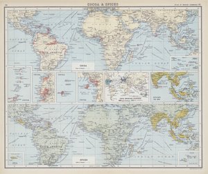 Kakao und Gewürze von English School