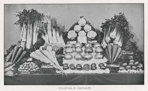 Sammlung von Gemüse von English School