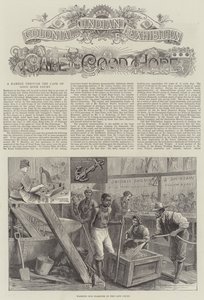 Kolonial- und Indische Ausstellung, Kap der Guten Hoffnung (Gravur) von English School