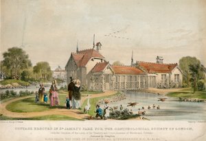 Hütte errichtet im St Jamess Park für die Ornithologische Gesellschaft von London von English School