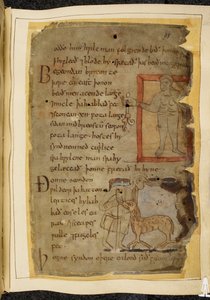 Ein nackter Mann, der eine Pflanze hält; zwei Männer sprechen, und zwischen ihnen ein lertix, ein schafähnliches Tier, Illustration aus Beowulf, aus dem 