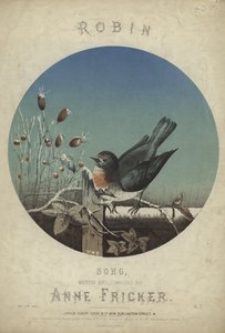 Cover von Robin von English School
