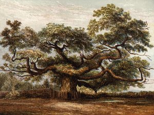 Crouch Oak, Addlestone von English School