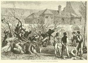 Bäume fällen rund um Paris für Brennholz, Oktober 1870 von English School