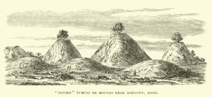 Dänische Hügelgräber bei Ashdown, Essex von English School