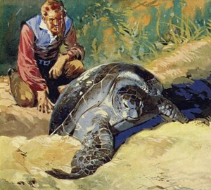 Darwin fragte sich, warum sich die Riesenschildkröten der Galapagos-Inseln auf jeder Insel unterschieden