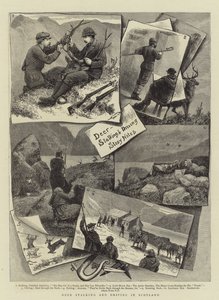 Hirschjagd und Treibjagd in Schottland von English School