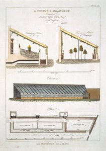 Entwurf für ein Ananas- und Orangeriehaus in Teddington, 1806
